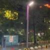 Modern Minimalist LED Street & Garden Light